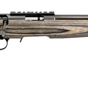 Ruger 22LR AMERICAN RIMFIRE TARGET