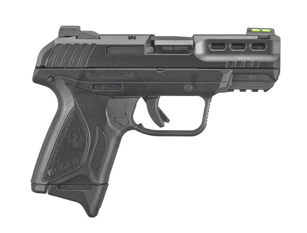 RUGER 9MM SHORT SECURITY-380 (3839)